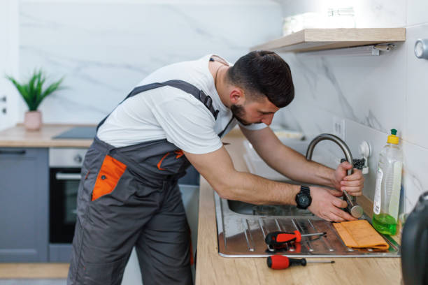 Best Local Plumber Services  in Barnhart, MO