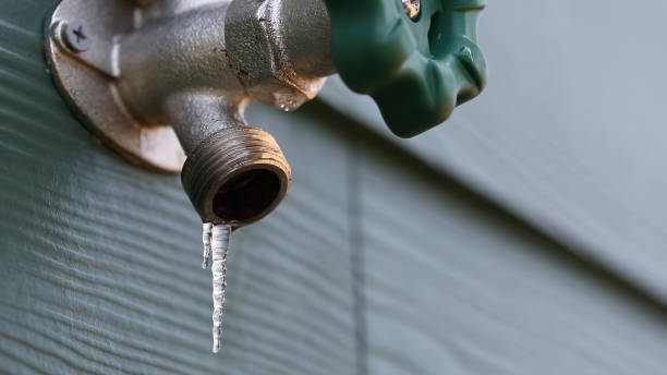 Best Sewer Line Repair  in Barnhart, MO
